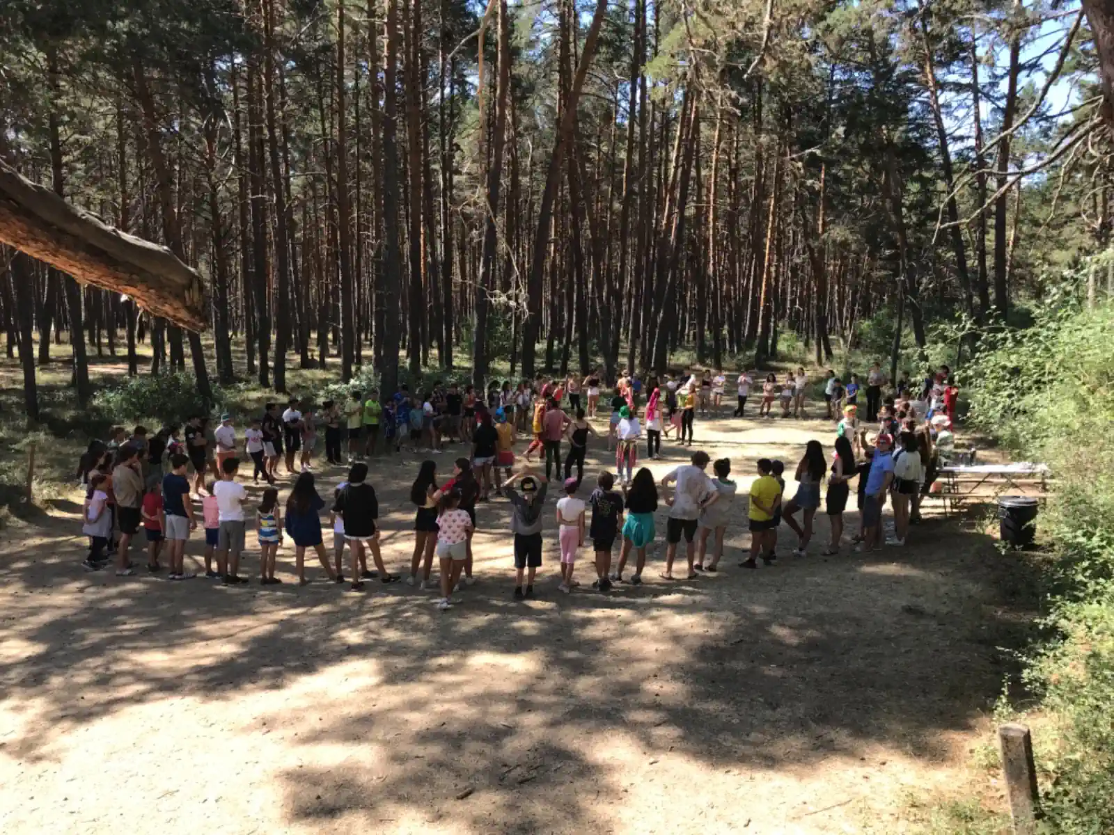 Campamento Sherpa. Actividades para tod@s
